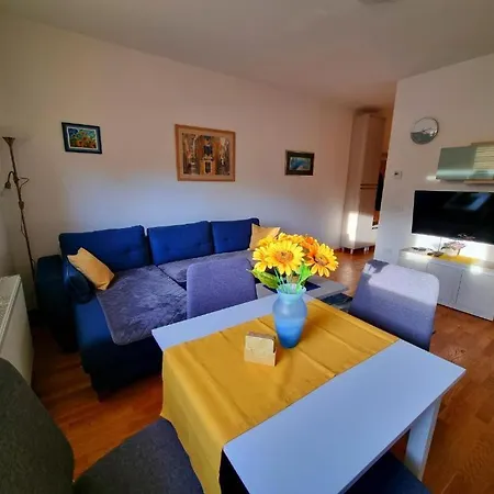 Apartment Neoplanta Zlatibor