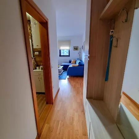 Neoplanta Apartament *